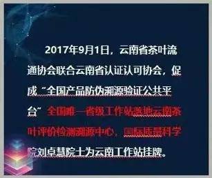 原料|云之南，有一抹“白”| 金波罗古树白茶