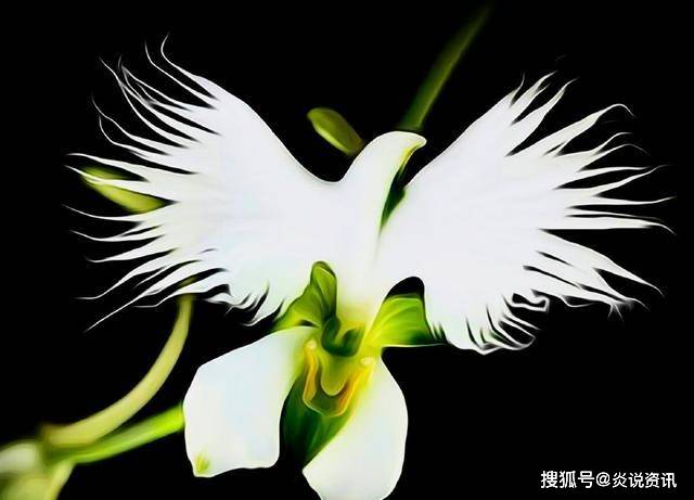 �������殐�Ļ���TOP�񣬿���һ�N�����J�R_�m��_����_ֲ��