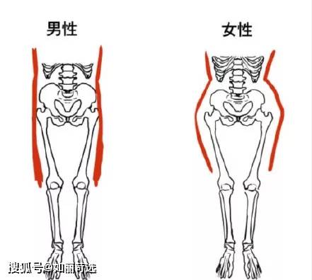 腰围酸了！男生的腿为什么比女生的还细？腿粗的妹子该怎么瘦腿？