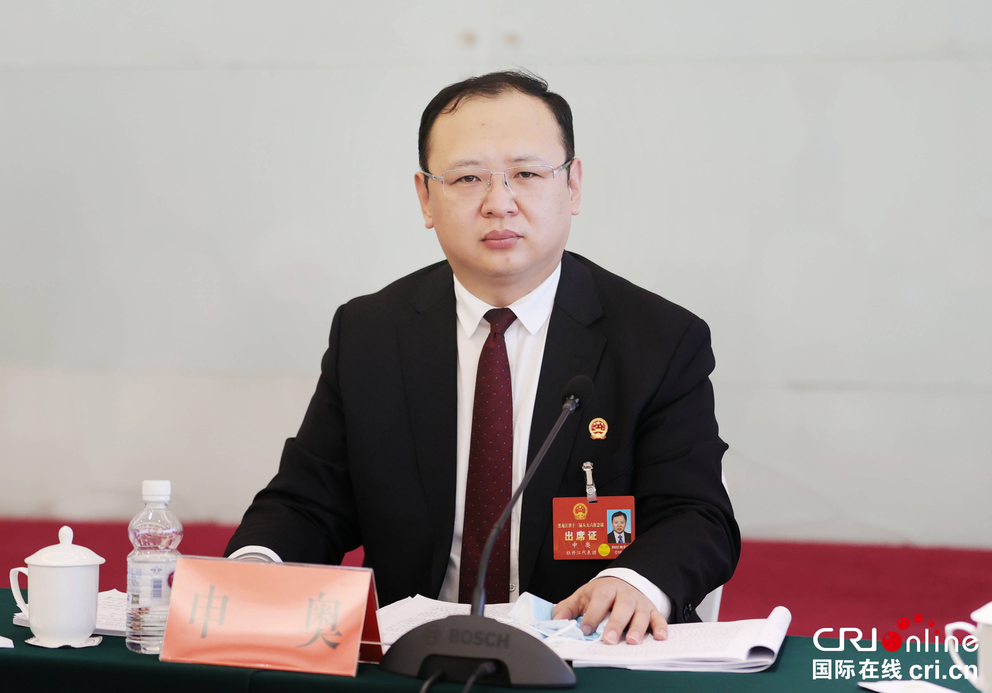 黑龙江省人大代表,宁安市委书记申奥 摄影 邵国良巩固脱贫成果推进