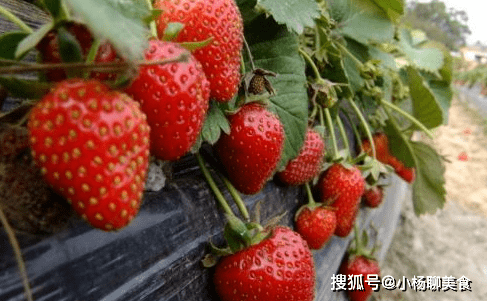 状况|女性每晚当零食吃几颗，防止掉发，抗老化，皮肤细腻又光滑