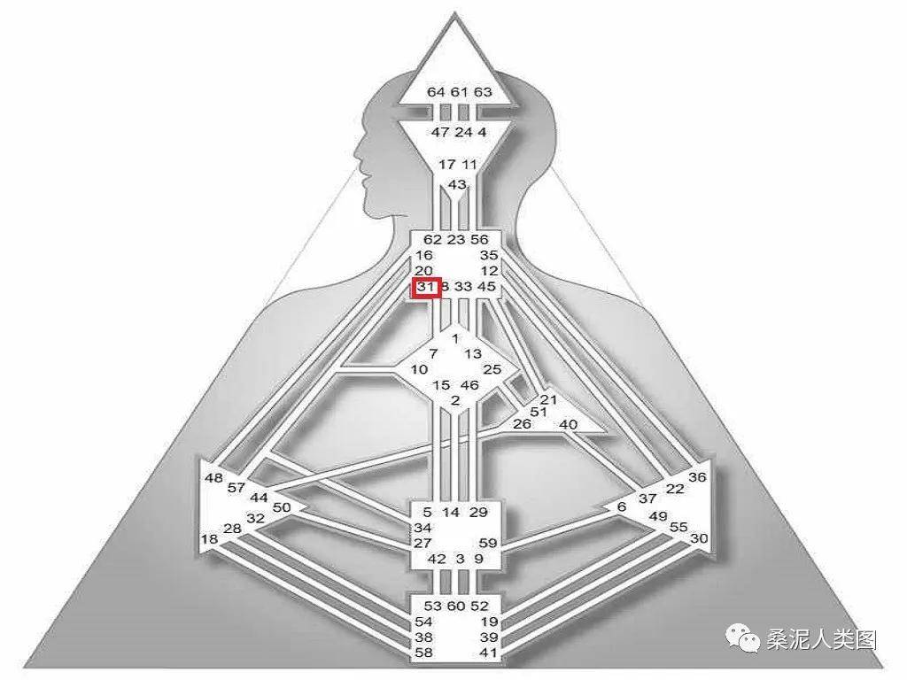 31号闸门人类图64个闸门