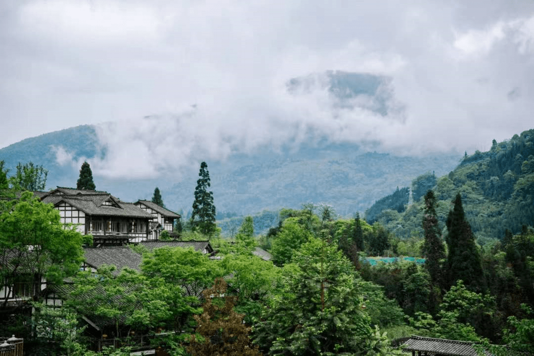 探寻天府旅游名镇洪雅县七里坪镇