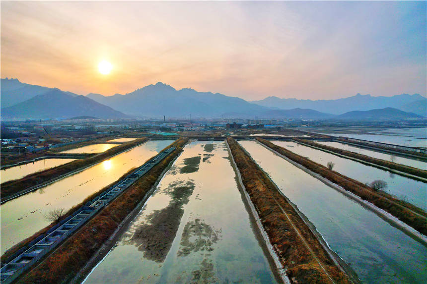 场面|青岛有个网红渔码头，600年历史，晒鱼场面壮观，每年都会上央视