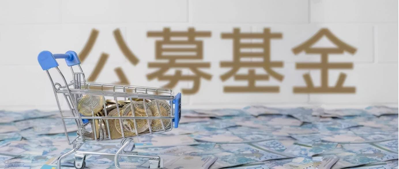 原创 18家公募掏近13亿自购护盘!这些基金公司的“功课”值得抄吗?