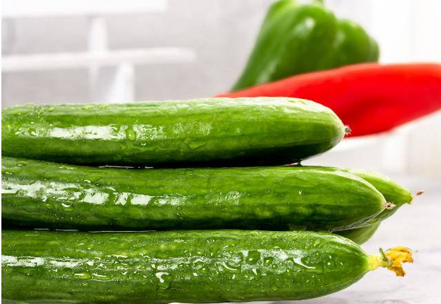 什么时候种西红柿和黄瓜 2d1554855cbe45439e1a06f185b9c58c.jpeg