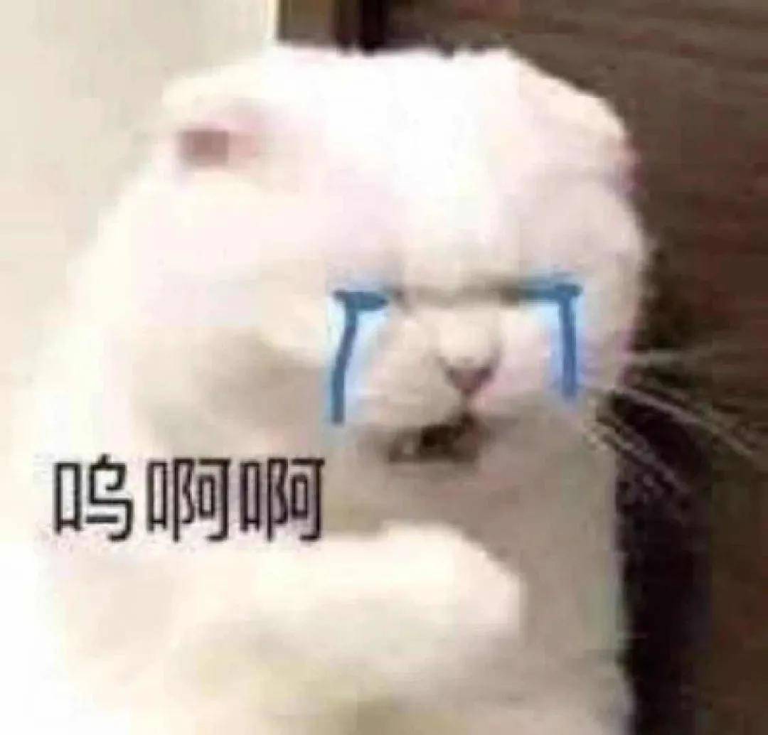 宽度虽然知道她对丰唇很执着，但美女不要再乱折腾了