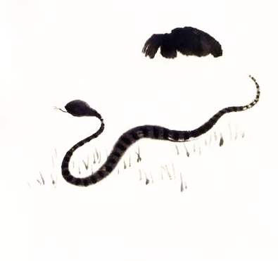 0305e3dbd96d4a359443a3528d8ec80f.png