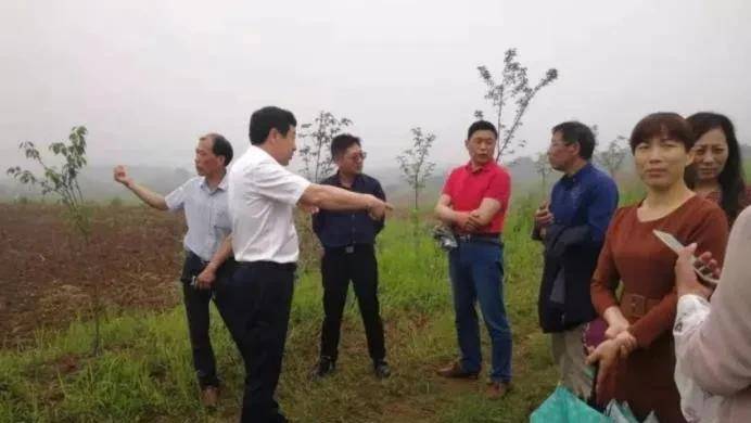 跨越140年的回乡路,终于找到京山罗店祖籍_王光发_安吉县_浙江省