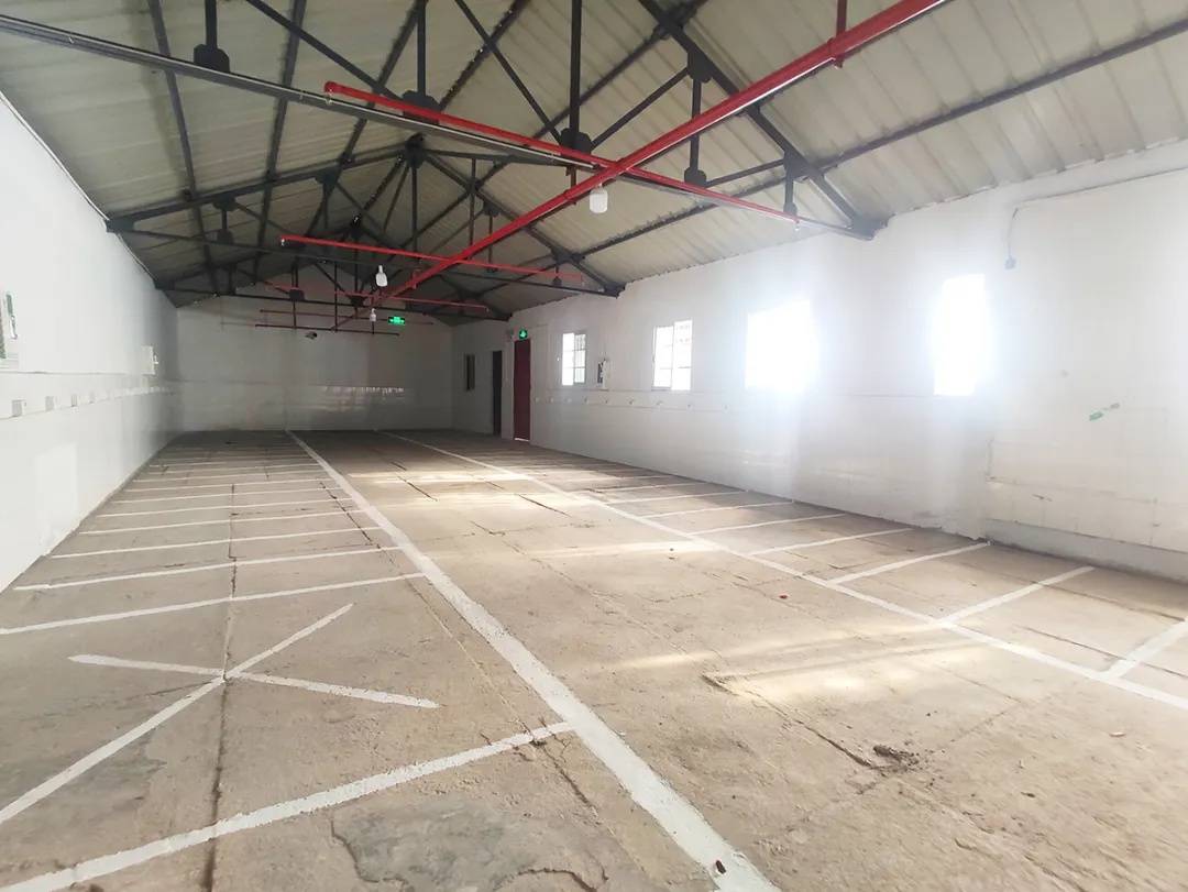 健康春节我守护 社区管家 宝山群众的 知心人 爱申活暖心春 居民区 改造 小区