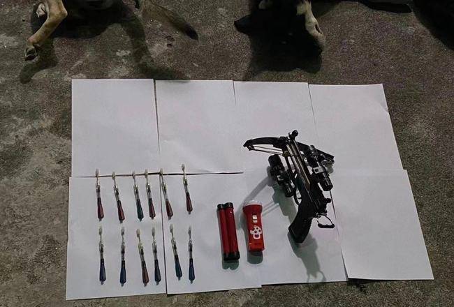 2013年,偷狗兄弟用毒针偷狗,哥哥操作失误射中弟弟,60秒后死亡_狗狗