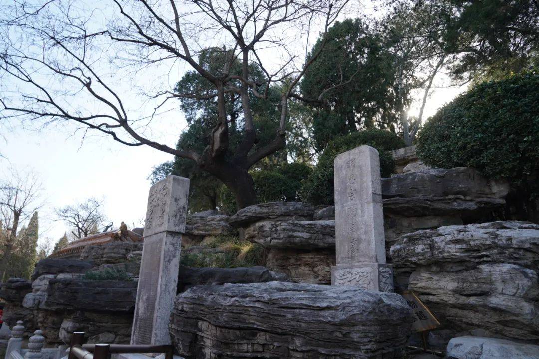 建筑|门票2元的景山 为什么值得天天来玩