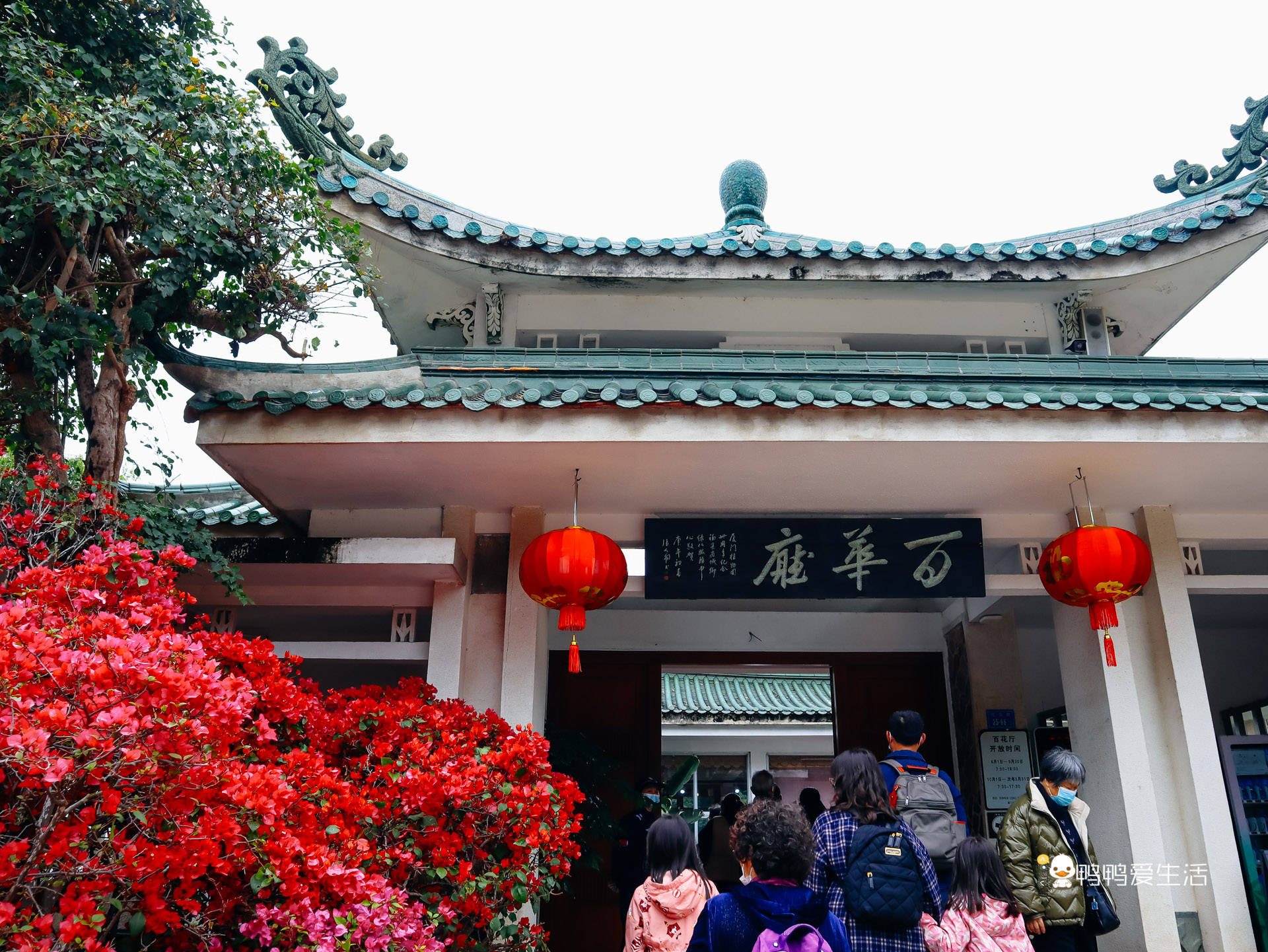 景点|厦门园林植物园春节期间免费开放，花多人多喜气洋洋，新春好去处