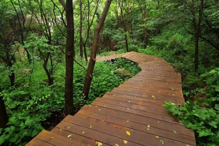 原创北京昌平深山密林寂静清幽徒步锻炼休闲避暑的绝好去处