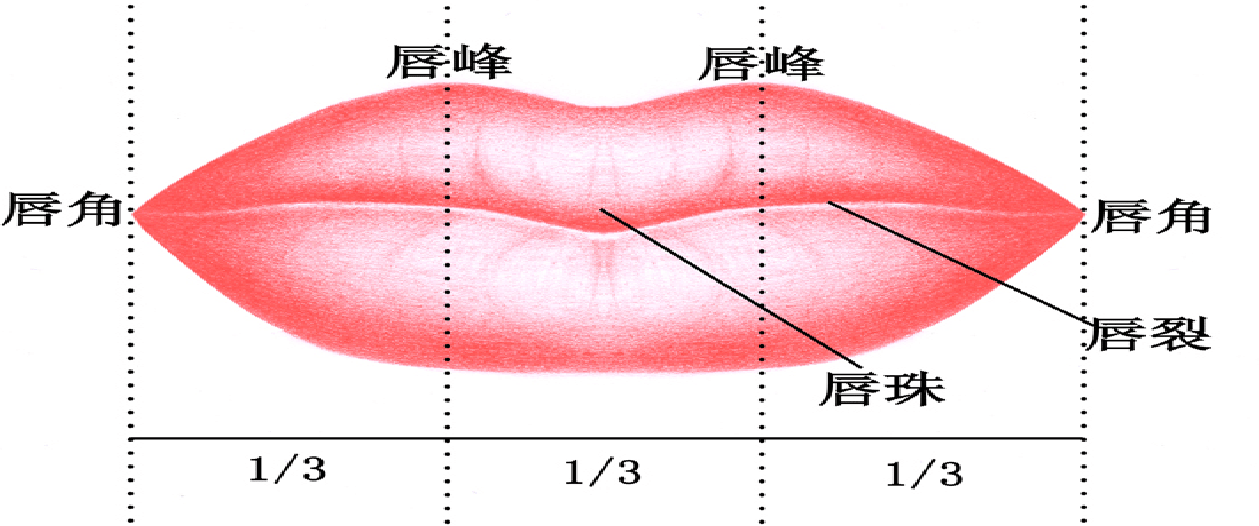 唇线M唇、嘟嘟唇、微笑唇三种唇形的画法合集