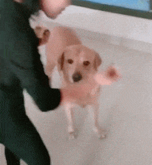 加点|搞笑GIF段子：昨天和一哥们去超市买东西