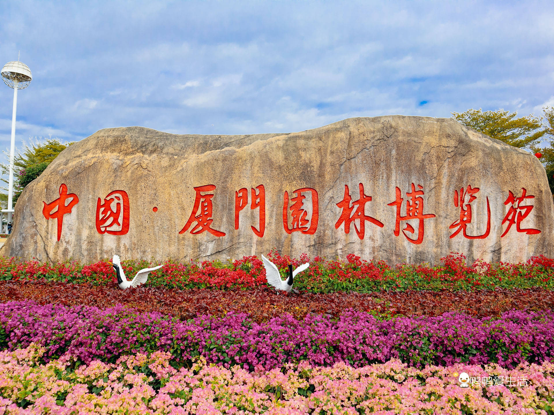 博览|厦门园林博览苑春节推出多个花展，拍照超美，游客：累并快乐着！