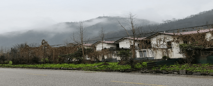 2月21日,一行人来到什邡市冰川镇考察当地震后恢复情况.
