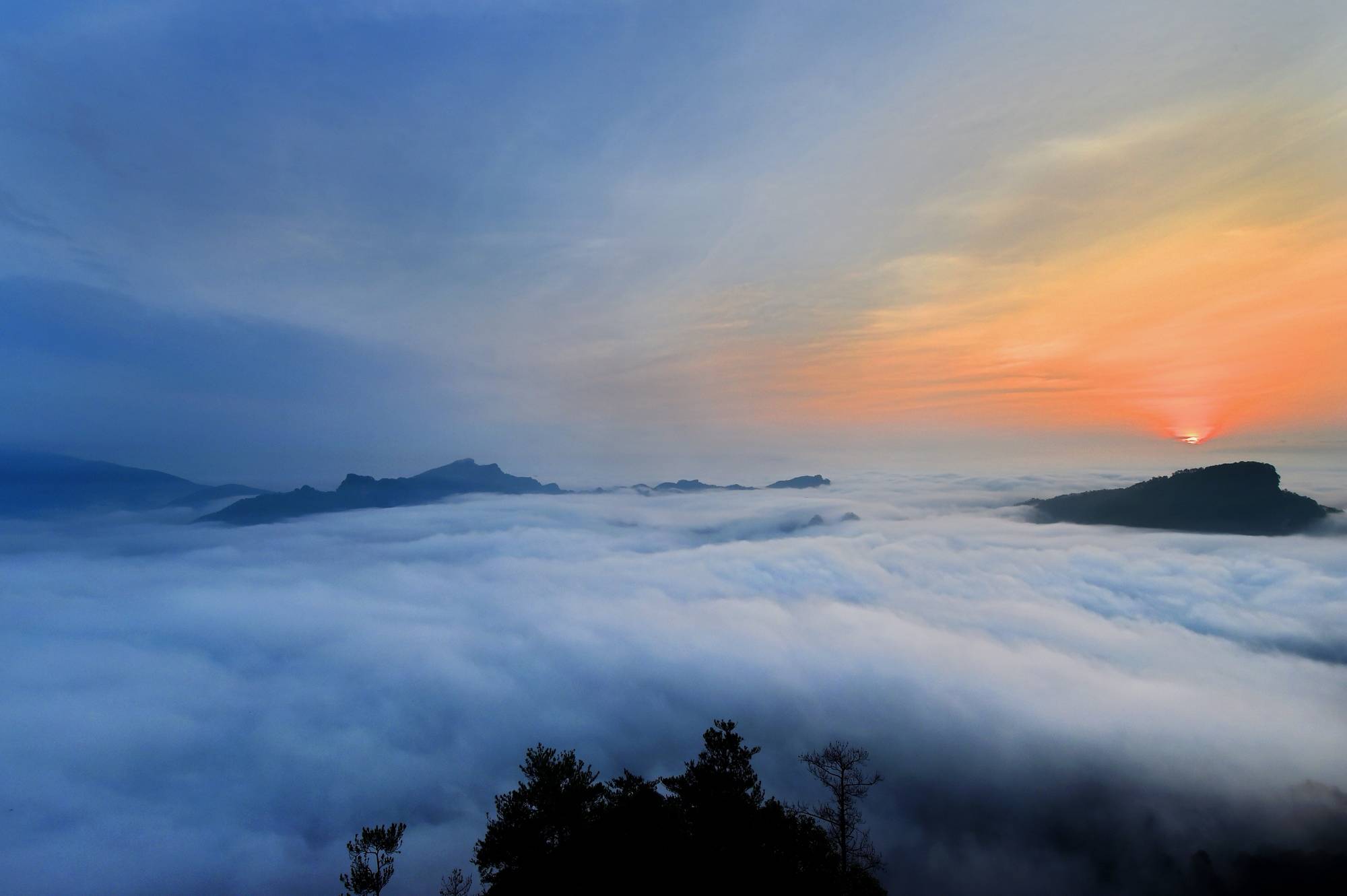 地方|云海翻腾武夷山