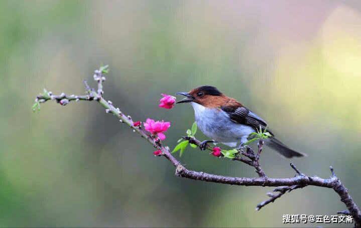 不得不说,中国自古就是一个浪漫的国度,而且这种浪漫是来自于骨子里的