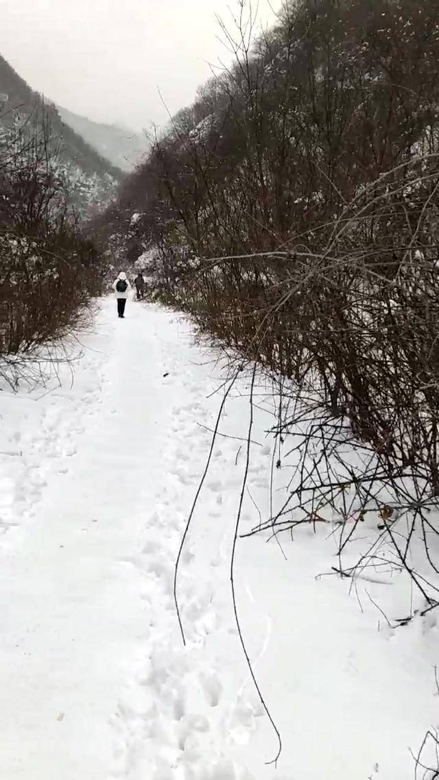 组图 | 探寻秦岭72峪口：银装素裹的大洋峪深山雪景