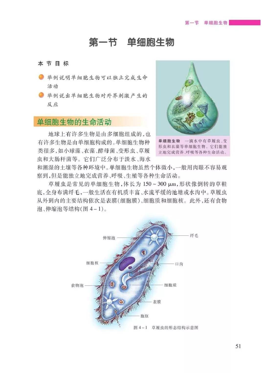 苏教版七年级上册生物电子课本教材(高清pdf版)