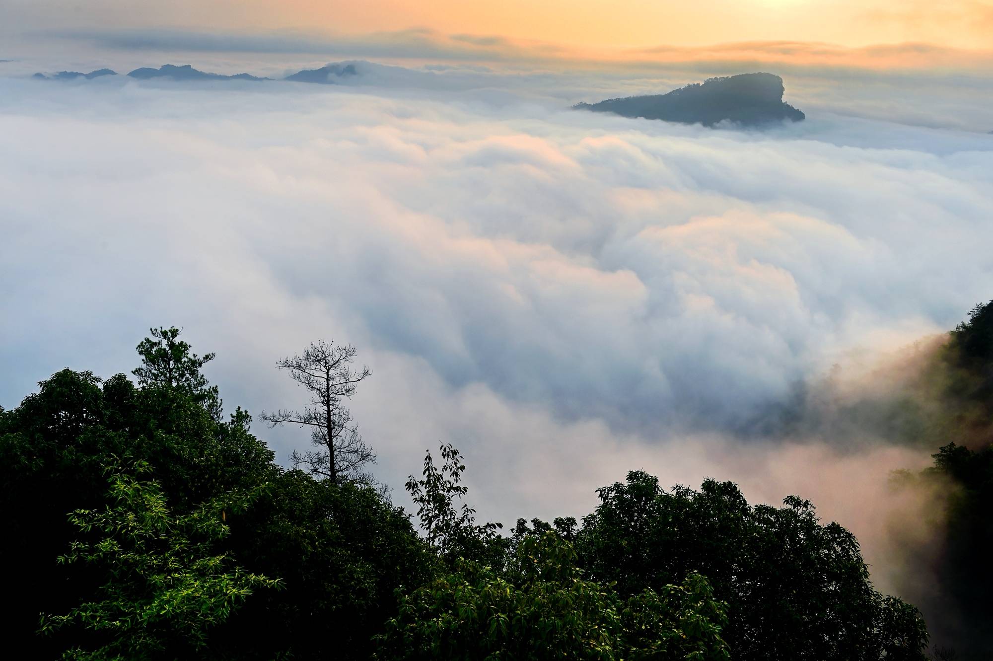 地方|云海翻腾武夷山