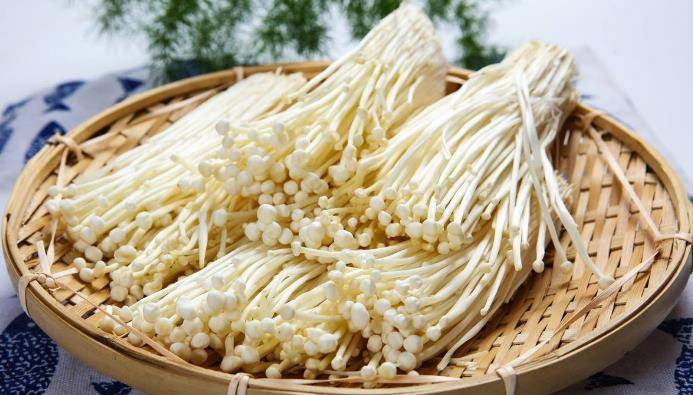 自己如何种金针菇 45278d0275844adea75f5b487bbb5914.jpeg