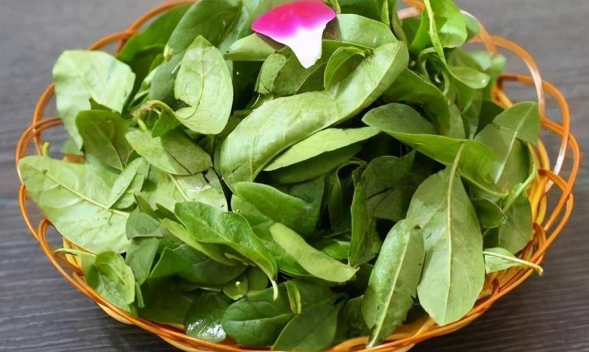 佛手的功效作用营养价值 f42f6cb3eb734367854b344a01dc8210.jpeg