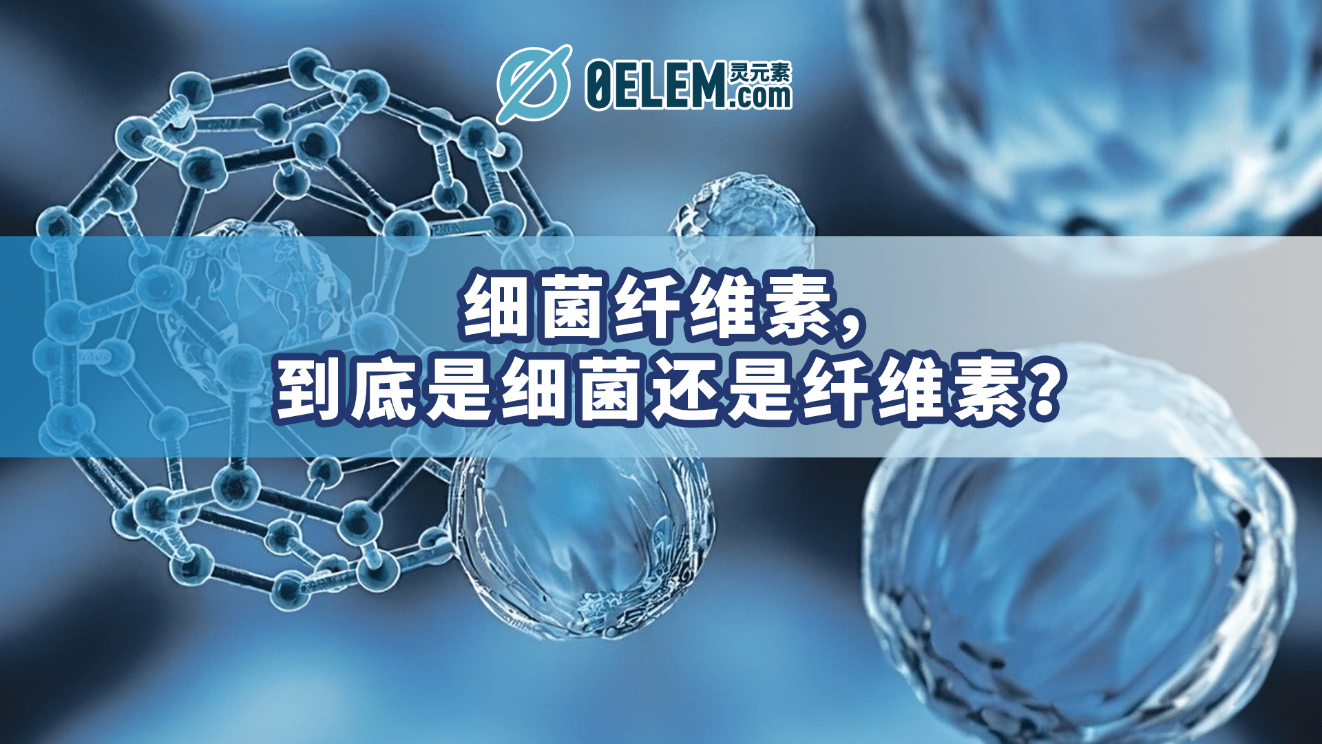 细菌纤维素到底是细菌还是纤维素灵元素给你答案