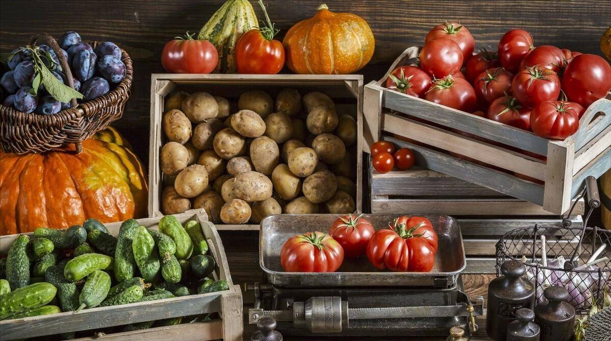 生活|饮食文化也有着独特的印记，漫谈包罗万象的隋唐饮食文化