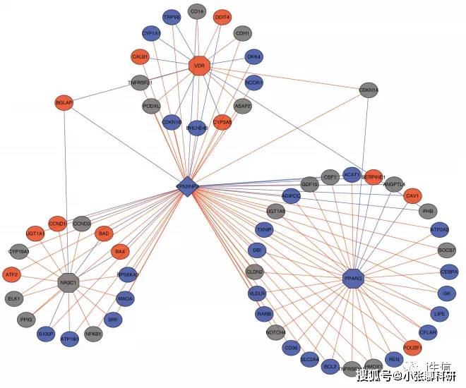 什么是基因表达 2a735e815e1844d5b036c6410a75faaa.jpeg
