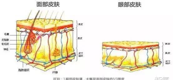 眉骨患11天痊愈后的Lisa，怎么完全认不出了…