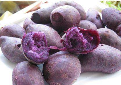 婆婆丁怎么吃最火 da43da95660943f0be6db9fb00f541fc.jpeg