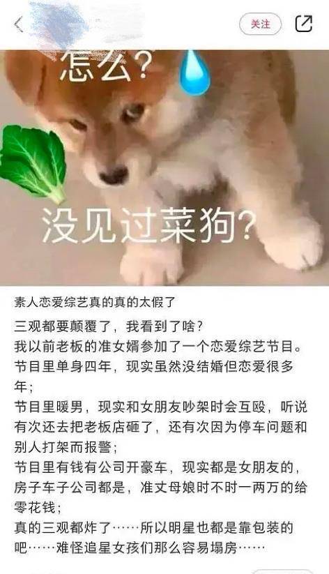 俞悦|你嗑的cp是假的，恋综再翻车，有女朋友还上节目撩妹？