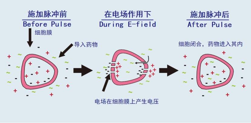 滑动式雅光水婴肌：创新研发，让你的肌肤只有“水嫩透白”！