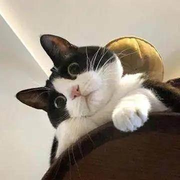 098f280367af402d9a65455a352159b5.jpeg