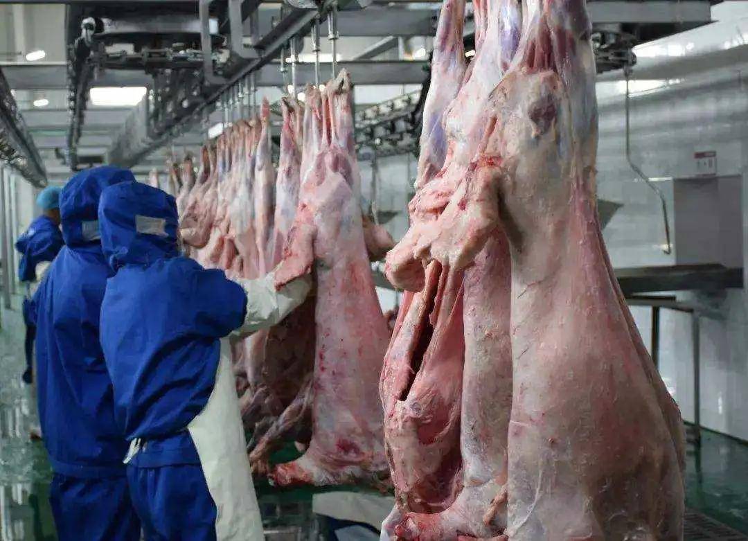 什么是排酸肉?真的比鲜肉好吗?_食用_酸处理_肉类