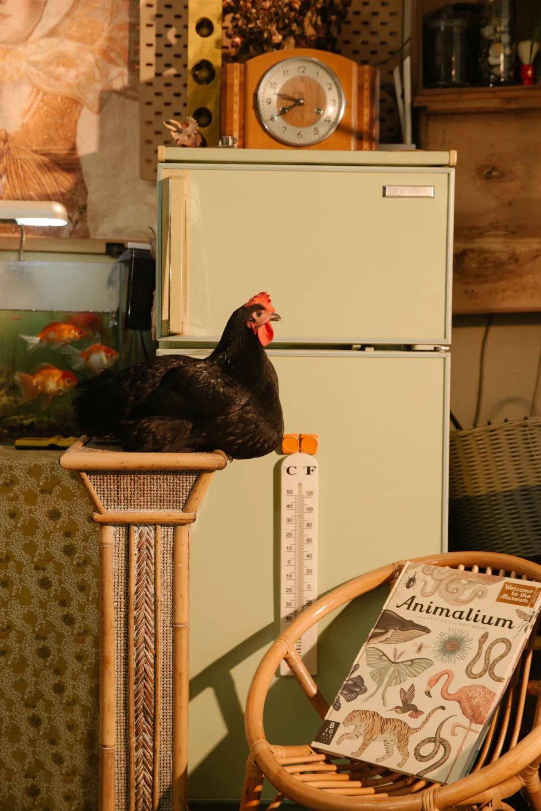 这个摄影师用从废墟捡的垃圾把家里布置成了旧物仓