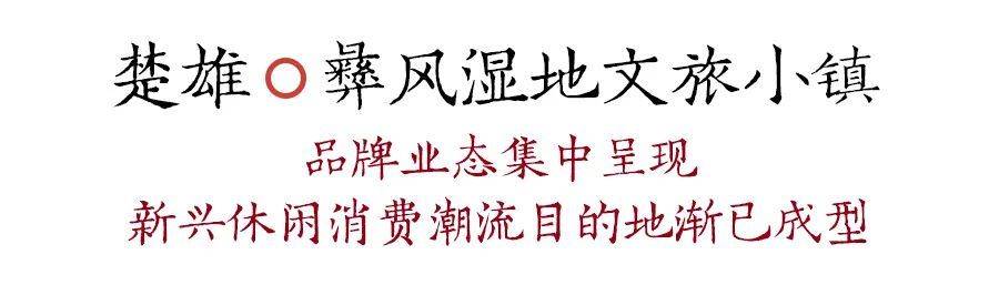 小镇|春节期间，伟光汇通西南各文旅小镇活动精彩纷呈，市民游客体验别样假期