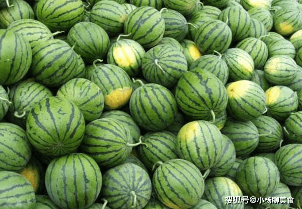 西瓜怎么看公母图解 fdda64dc769246f1983c2cb761b8dc35.png