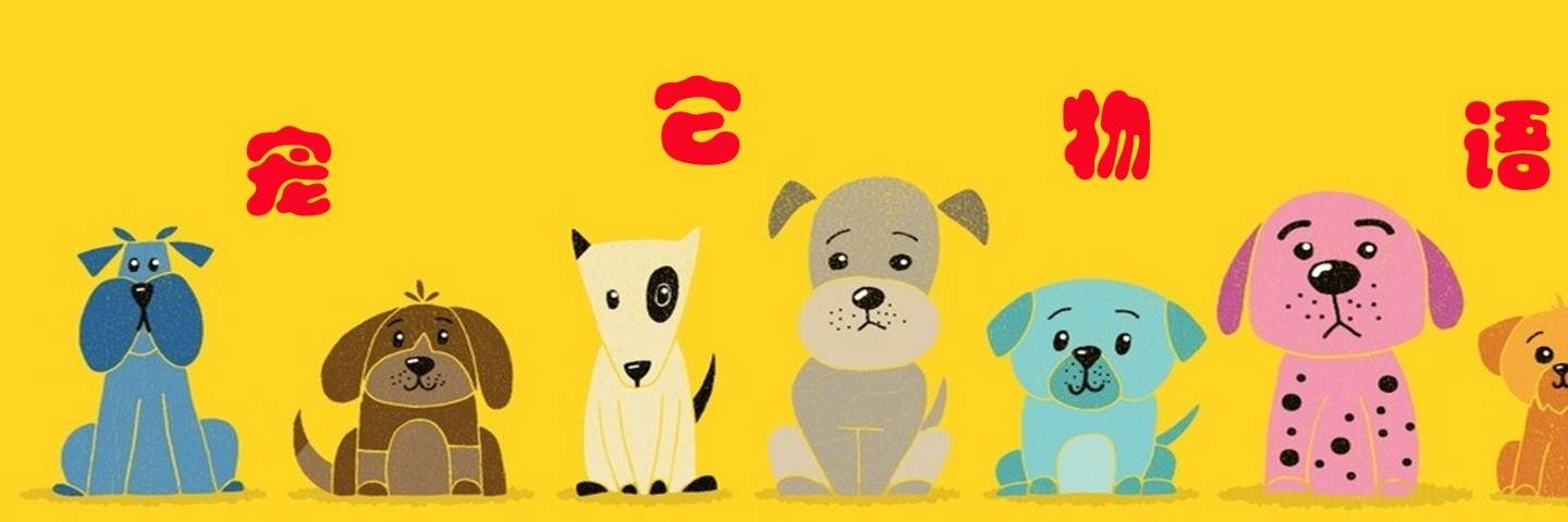 奖励|让狗住笼子残忍?至少这5个好处你不知道,居家训练1