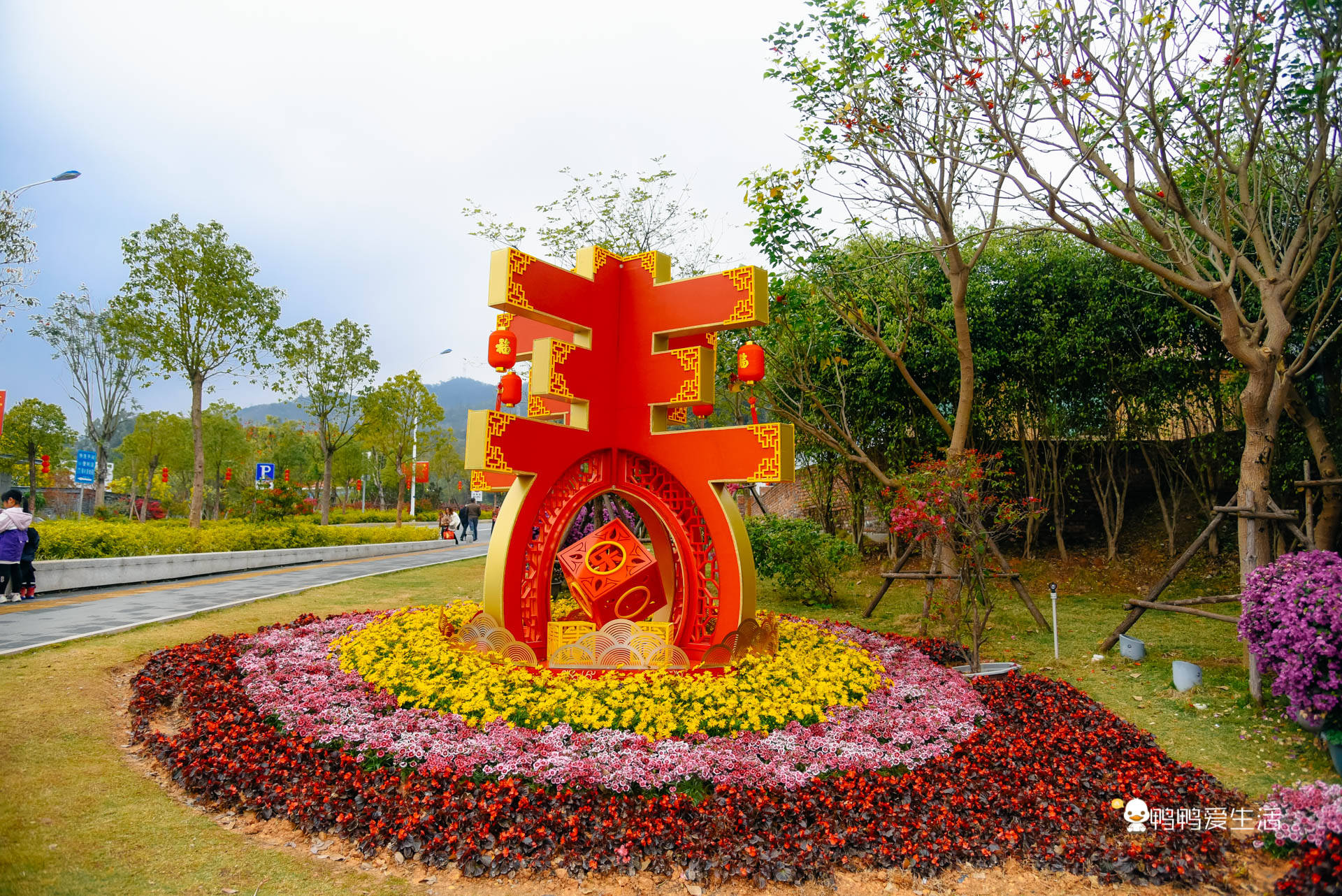 游客|厦门后花园里的赏花好去处，山樱花绽放浪漫非凡，免费开放地铁直达！