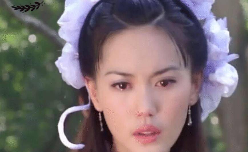 美人被网友集体大喊美过高圆圆，退出多年还能在49岁美出圈！