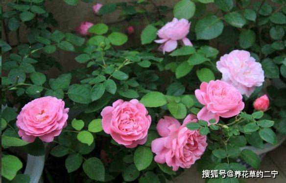 02db54ecd9174e5f837ec1c97a03e3a9.jpeg