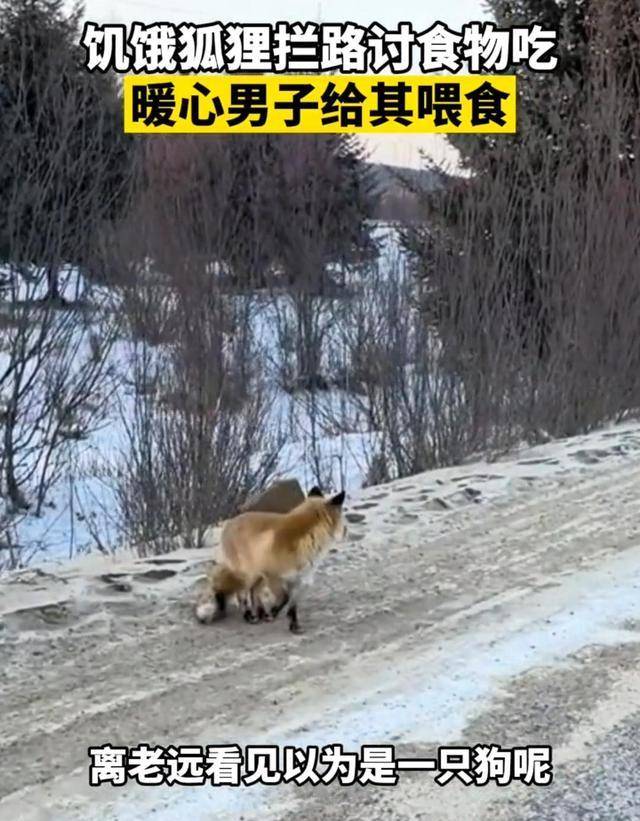 4ba936c3bbd346649f79e01e31e17580.jpeg