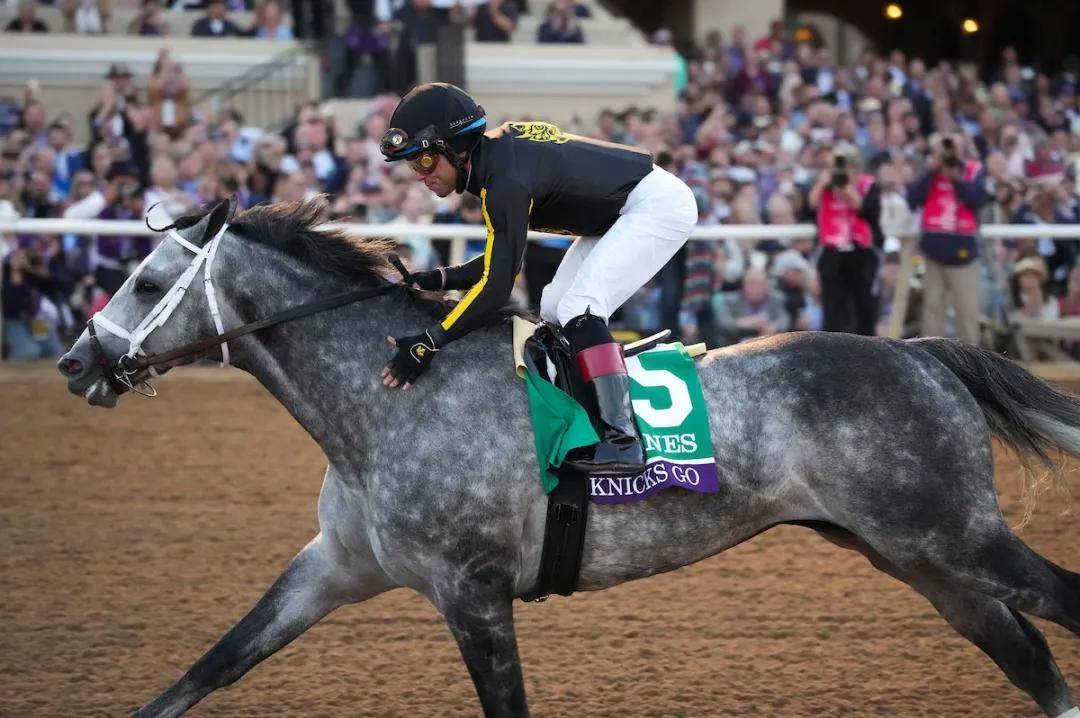 美国马王诞生美国赛马年度盛会日蚀奖揭晓