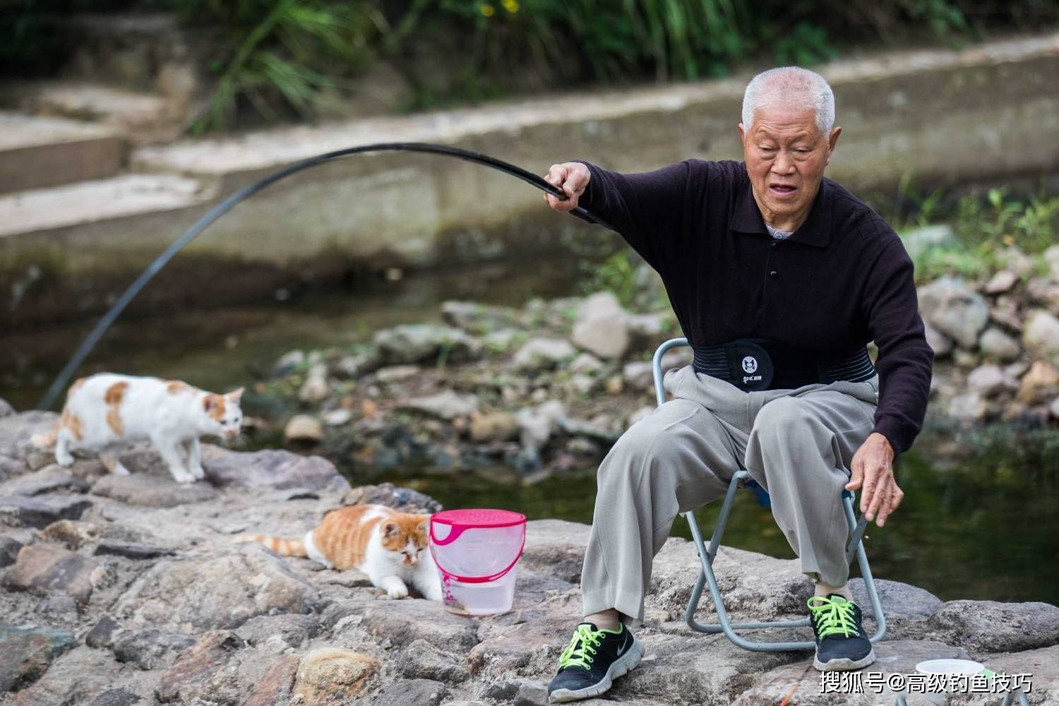 为什么老年人喜欢通过钓鱼来养生钓鱼对老年人的益处颇多
