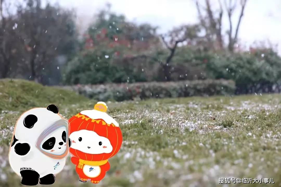 超級驚喜冰墩墩amp雪容融來臨大了