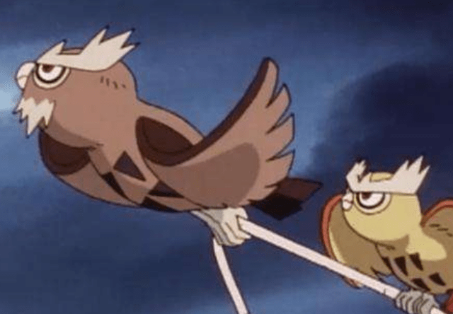 宝可梦家门鸟猫头夜鹰走不一样的对战路线存在感依然低